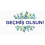 Geçmiş Olsun Çiçekleri