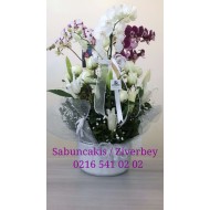 Seramik İçinde Orkide Lilyum Gül